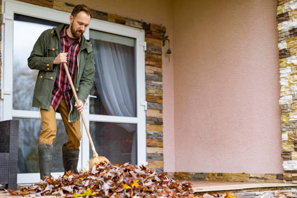 Best Construction Debris Removal  in Hamilton, IN